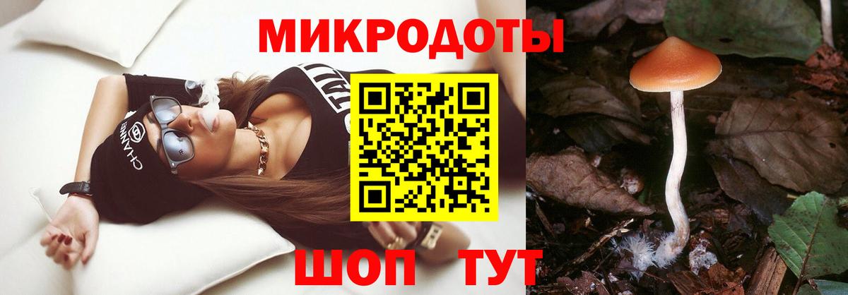 Галлюциногенные грибы ЛСД Гагарин