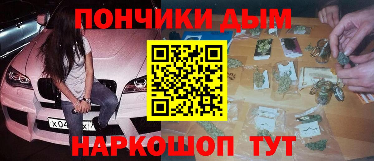Канабис сатива  Вход с VPN  Канабис планчик  Бошки марихуана план  МАРИХУАНА планчик  Гагарин 